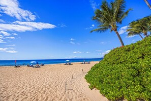 Beach - 2 2 Oceanside Modern Condo Ocean View (Kihei)