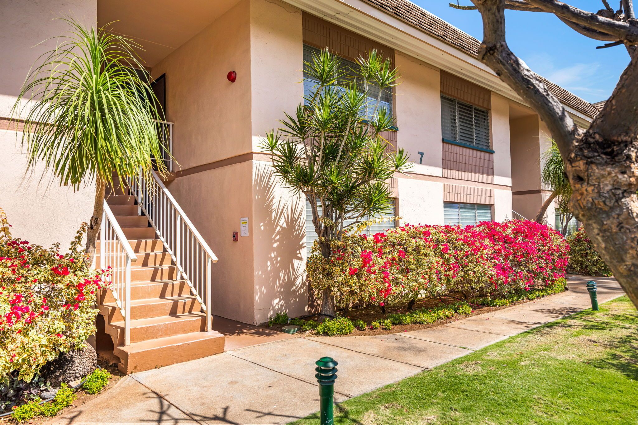 A building with a staircase, a palm tree, and a row of red flowers.