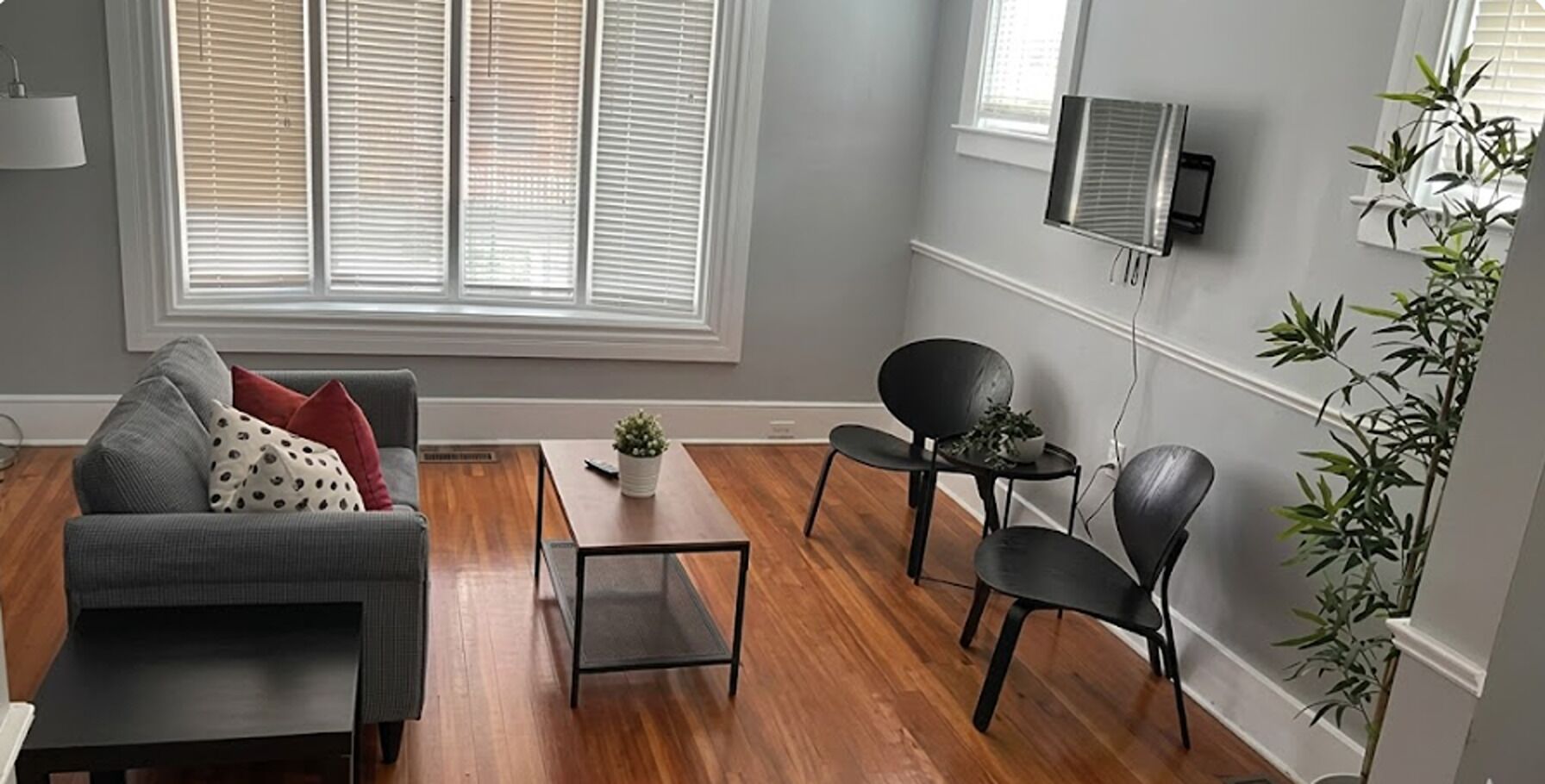 A modern living room with a grey sofa, a small coffee table, two black chairs, and a potted plant.
