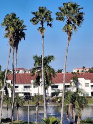 Exterior - Close to everything! 1bdr in St. Pete beach (St. Petersburg)