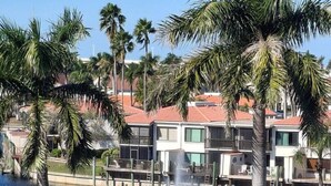 A waterfront property with a pool, palm trees, and modern buildings. - Close to everything! 1bdr in St. Pete beach (St. Petersburg)
