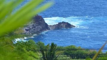 Classic Apartment, Balcony, Sea View | View from property