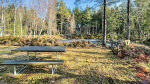 Mesa de piquenique numa área arborizada, com uma estrada ao fundo.