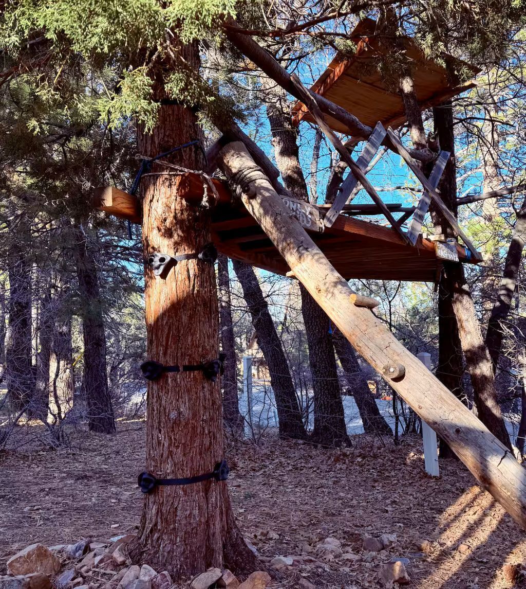 A treehouse structure built into a large tree, with a wooden platform and ropes for support.