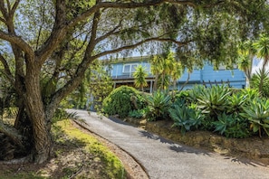A pathway leading to a building with a blue facade, surrounded by lush greenery and large trees.