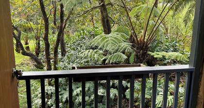 Rainforest Studio in Volcano- 3miles from National Park