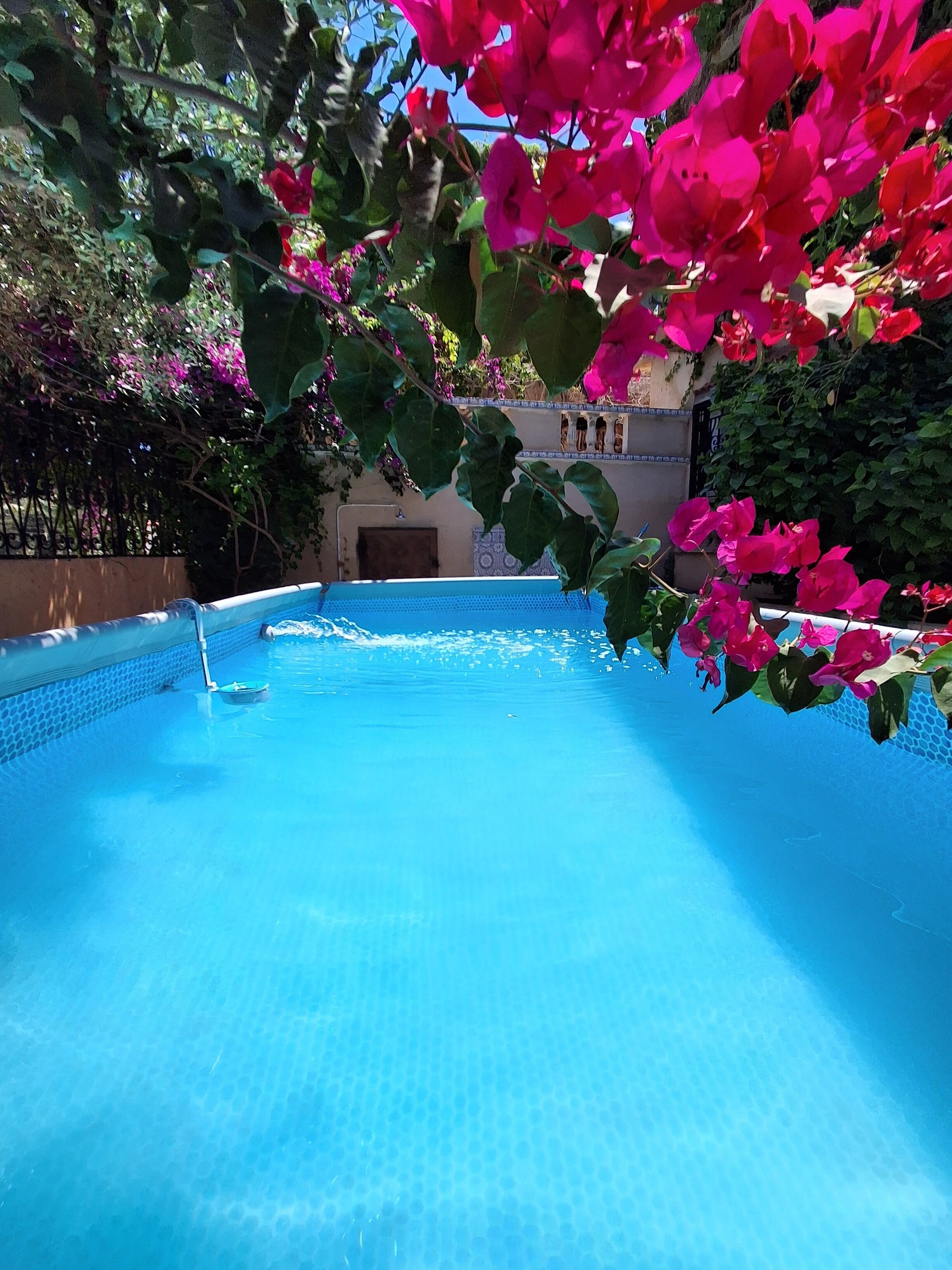 Una piscina con agua azul cristalina, rodeada de exuberante vegetación y flores rosadas.