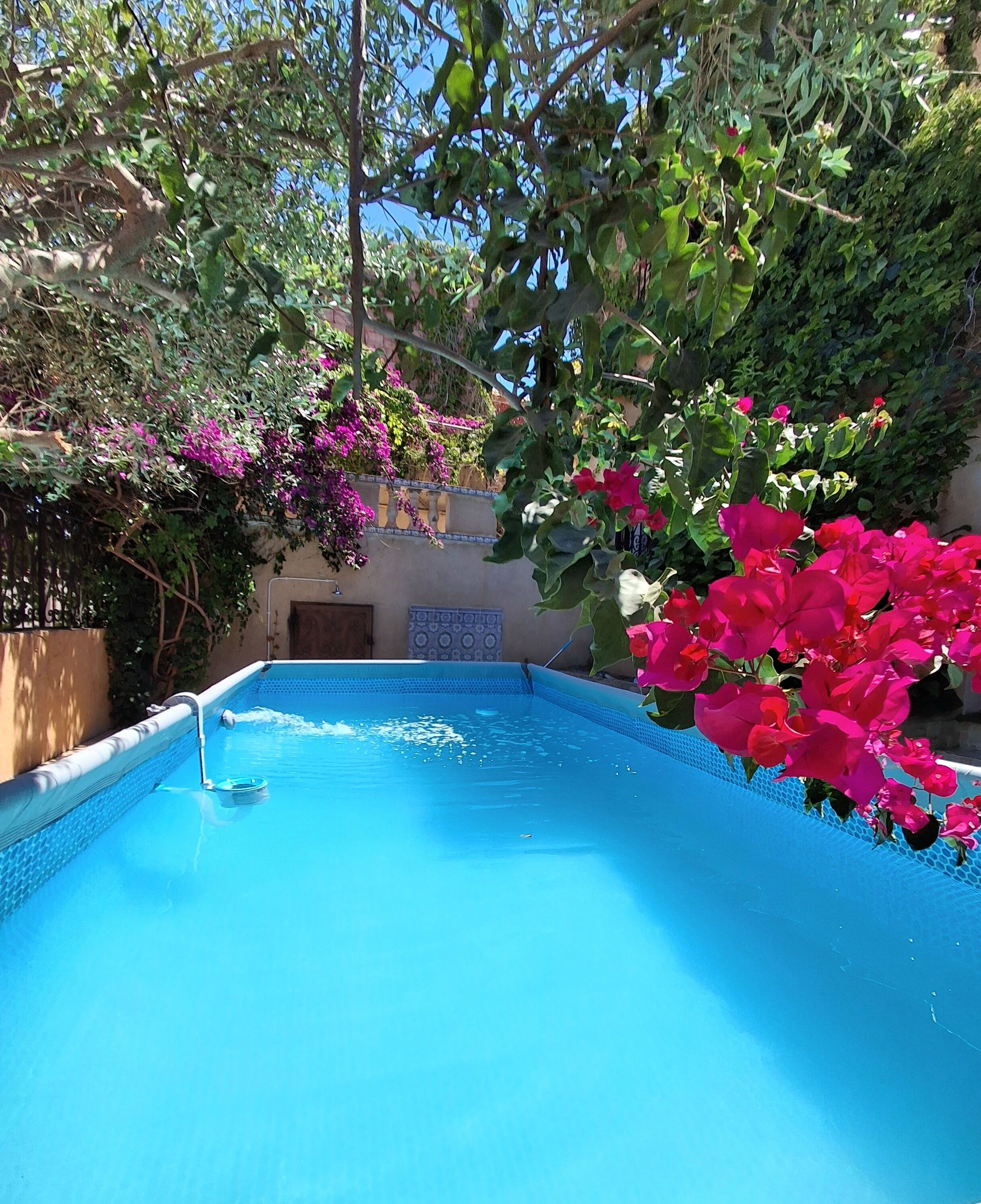 Piscine extérieure