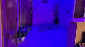 A hallway with a modern design, featuring a wooden door, a potted plant, and a small rug.