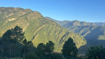 Double or Twin Room | Miscellaneous