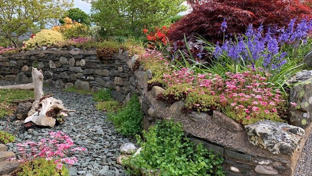 Un jardin avec un mur de pierre, un pont en bois et diverses plantes et fleurs.