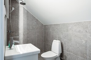 Shower, hair dryer