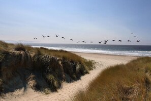 Beach - Charming 2-bedroom condo in beautiful Pajara Dunes perfect for relaxing (Watsonville)