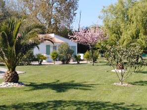 Khuôn viên nơi lưu trú