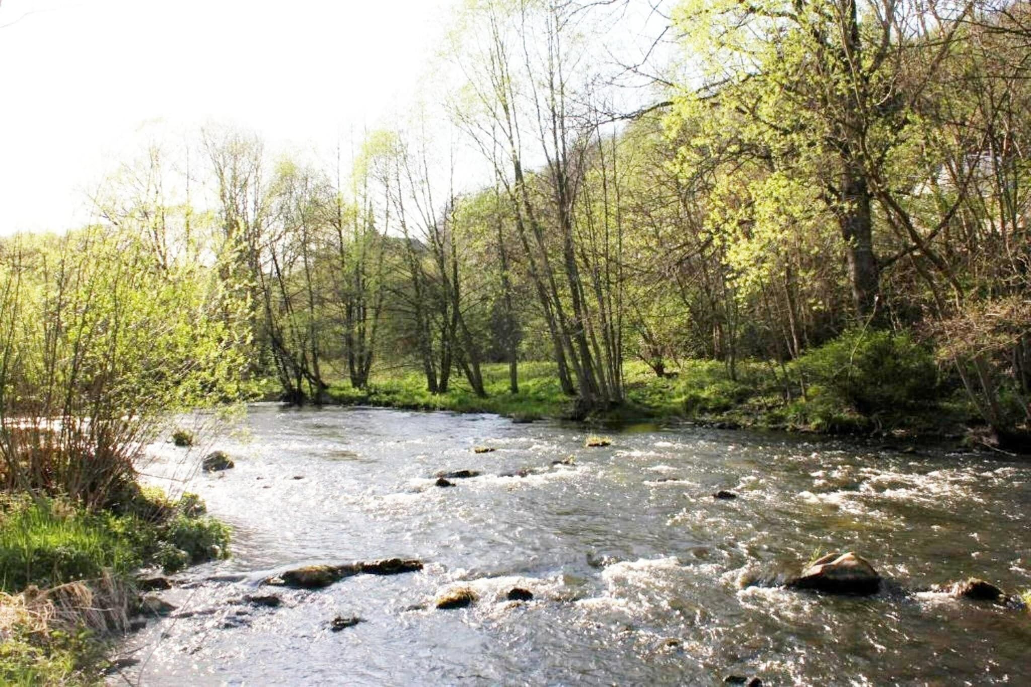 Een rivier die door een bebost gebied stroomt, met bomen en rotsen.