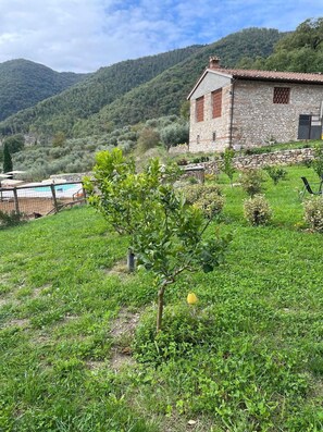 Jardines del alojamiento