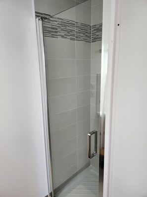 Shower, hair dryer, towels, soap - HIGH-END APARTMENT IN TOUILOUSE (Toulouse)