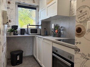 Kühlschrank, Mikrowelle, Herdplatte, Wasserkocher mit Kaffee-/Teezubehör
