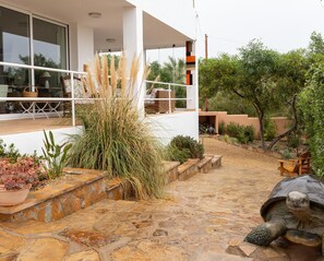 A modern house with a stone patio, a large window, and a tortoise on the right. - Vacation Villa With sea Views in Mojacar (Mojacar)