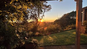 Un jardín con un pérgola, una zona verde y un árbol con luz solar filtrándose entre las hojas.