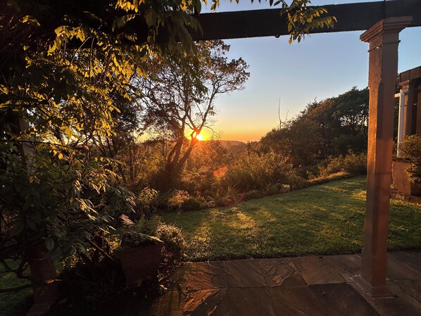 Un jardín con un pérgola, una zona verde y un árbol con luz solar filtrándose entre las hojas.