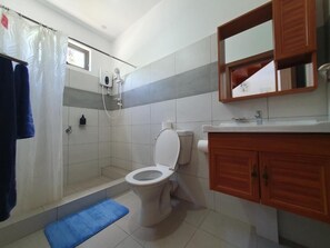 Een douche, handdoeken, zeep, toiletpapier