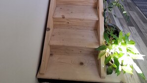 A wooden staircase leading to a landing area with a potted plant on the landing. - ROOM FOR RENT IN A GUEST HOUSE (Navarrenx)