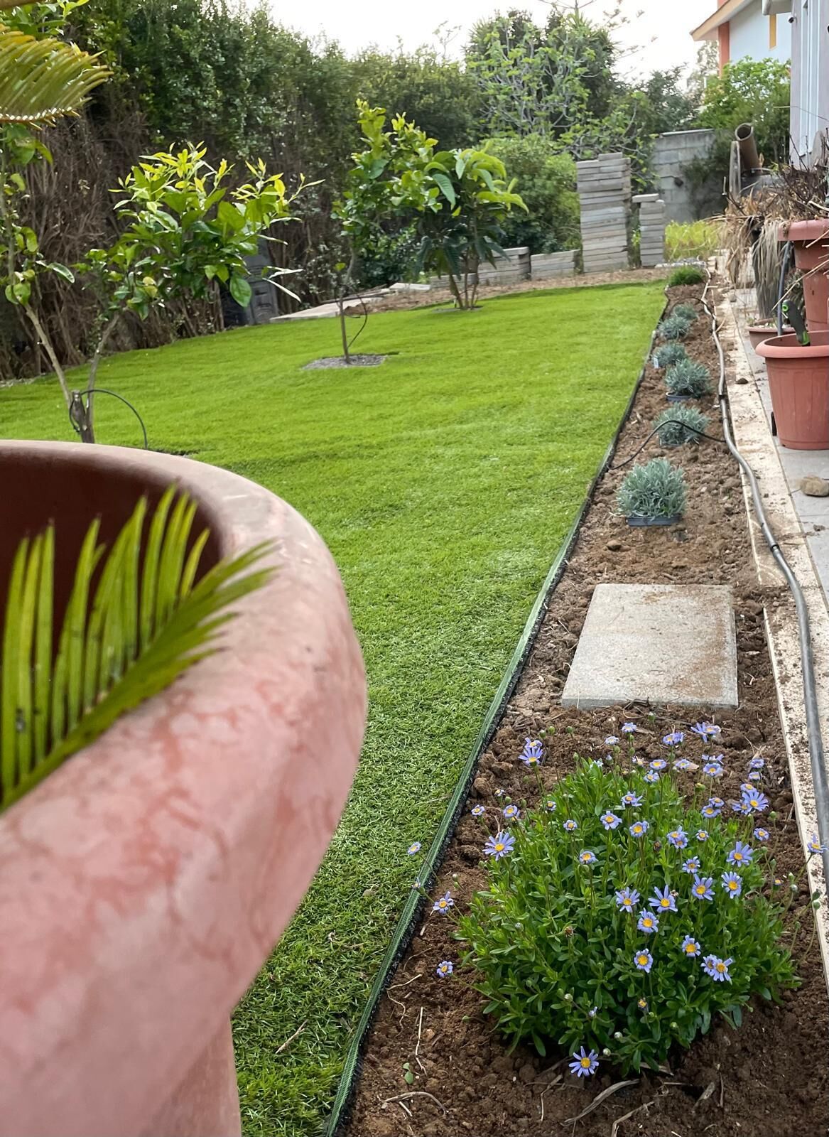 Un giardino curato con prato, aiuole e piante in vaso.