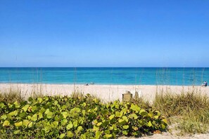 Beach - Beachfront Englewood Beach Sunburst Condo - Gulf Views - Pool - Dock - Manasota (Englewood)