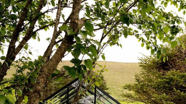 A glass conservatory surrounded by lush greenery and a field.