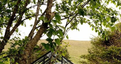 Peaceful Shetland Cottage w/ Garden & Parking
