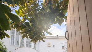A white building with a white door, steps leading up to it, and a small garden area with potted plants. - Central Cute Garden Cottage Close to Town & Beach (Brighton and Hove)