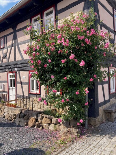 Rhönherberge in Oberelsbach-in der Rhön Room for 10 guests 2 bedrooms