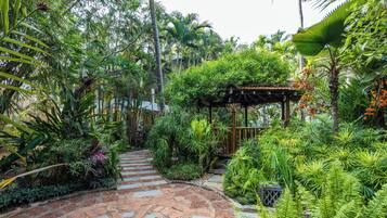 A garden pathway leading to a wooden pergola with lush tropical vegetation.