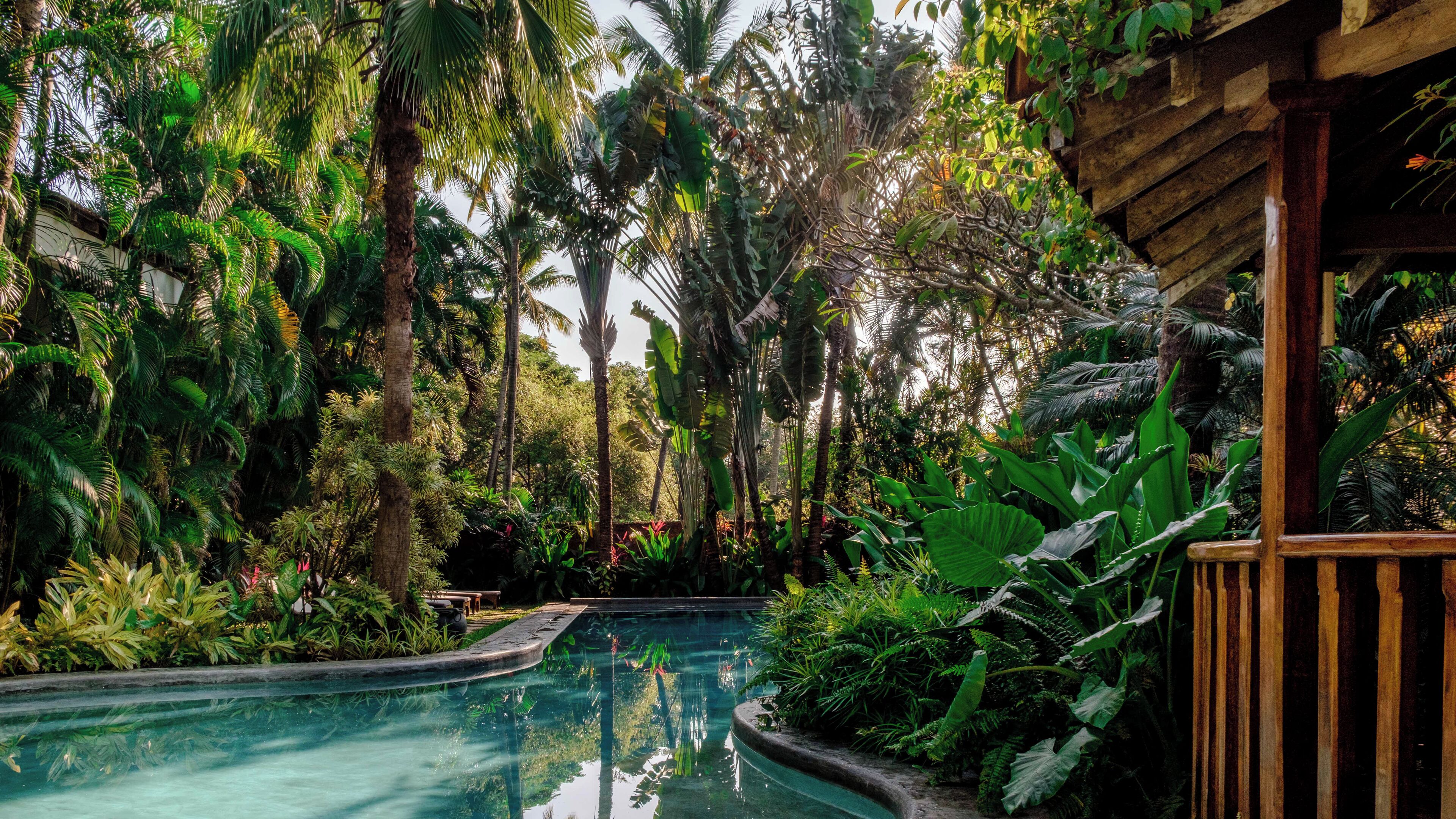 Une piscine entourée d’une végétation tropicale luxuriante et de structures en bois.