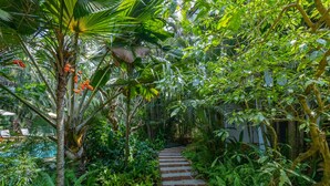 Un sendero de piedra que atraviesa un exuberante jardín con diversas plantas tropicales y un pequeño banco de madera.