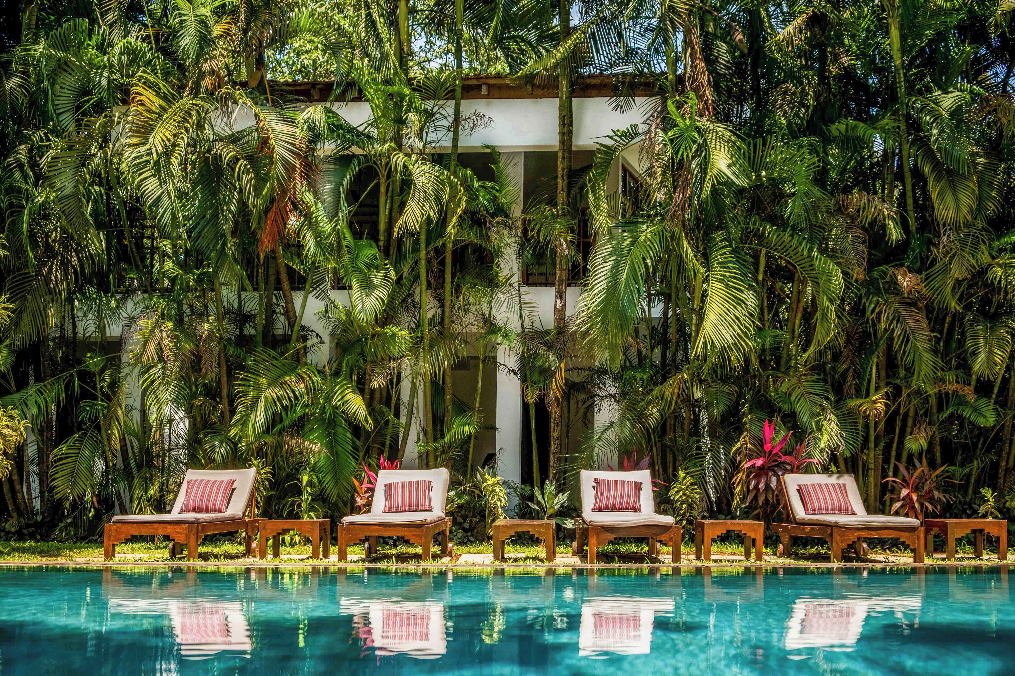 Área à beira da piscina com espreguiçadeiras e reflexo na água, cercada por vegetação tropical exuberante.