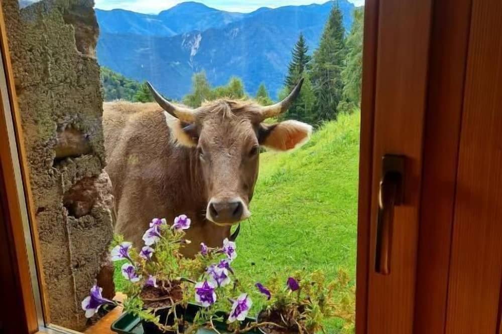 Chalet Chapeau R. a R.