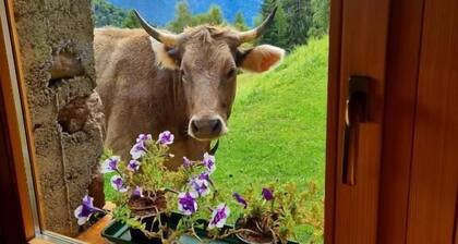 Chalet Chapeau R. a R.