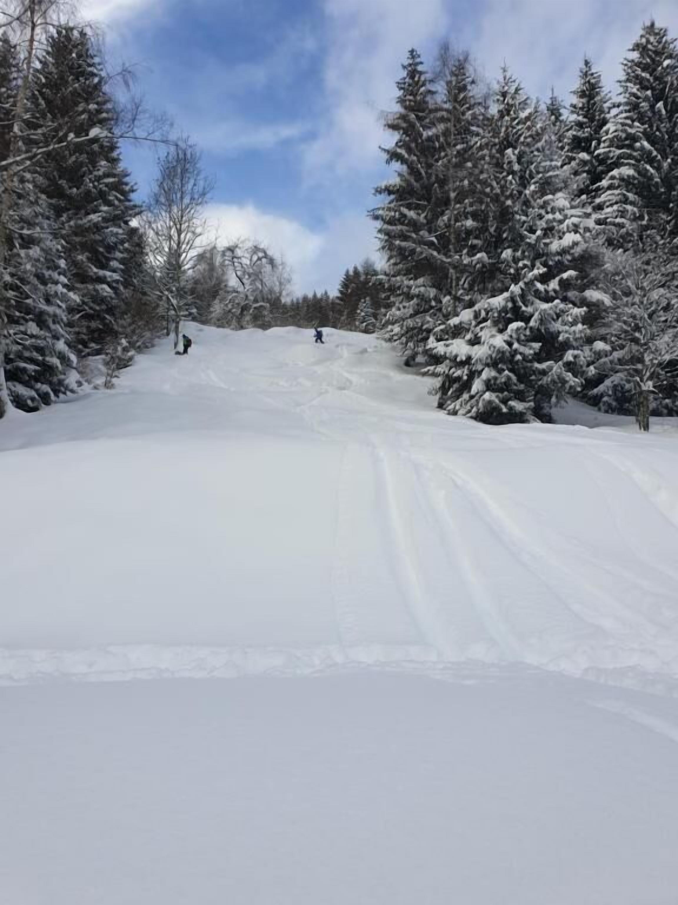 Paesaggio innevato con cielo sereno, alberi e una pista da sci.
