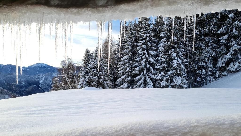 Un paysage enneigé avec des arbres et des montagnes.
