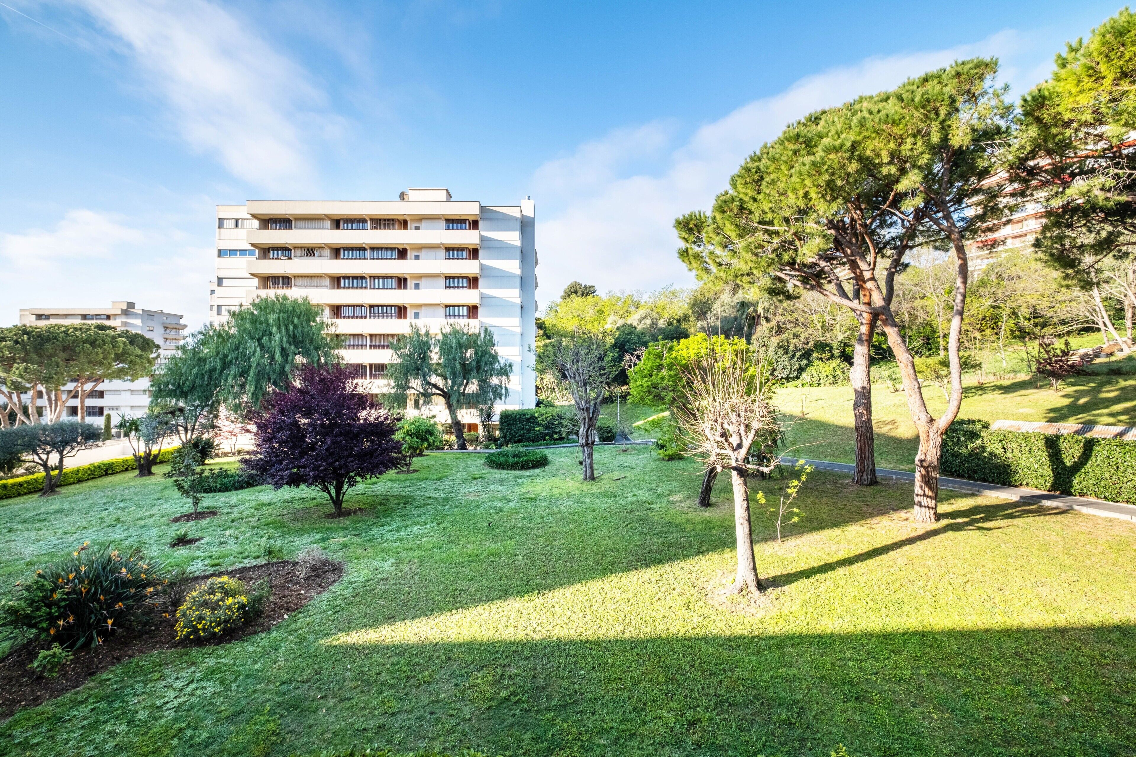 Parco della struttura