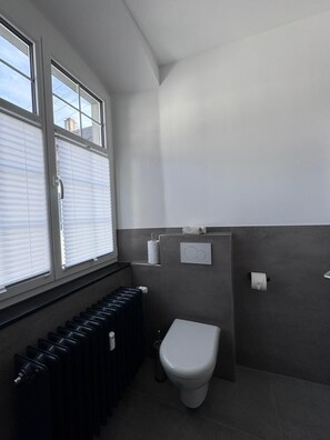 Shower, hair dryer, towels, toilet paper - No.6 Schussenrieder Hof I seeglueck (Hagnau am Bodensee)