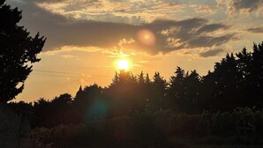 Un coucher de soleil où le soleil est partiellement masqué par des nuages, avec des arbres se détachant en silhouette et un ciel dégagé.