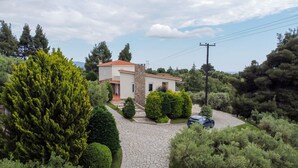 Una casa con un camino de piedra que lleva a la entrada, rodeada de vegetación y árboles.