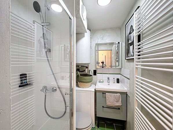 Hair dryer, towels, soap, toilet paper