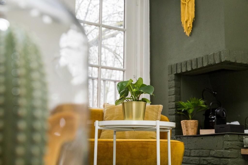 Een kamer met een raam, een open haard, een gele bank en een kleine tafel met een plant.