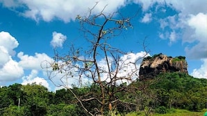 A road with a tree in the foreground and a rocky hill in the background. - Aloe Home Stay (Sigiriya)