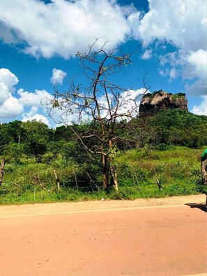 Miscellaneous - Aloe Home Stay (Sigiriya)