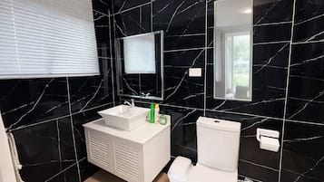 Hair dryer, towels, soap, toilet paper